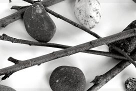 Sticks & Stones - The Power of Words